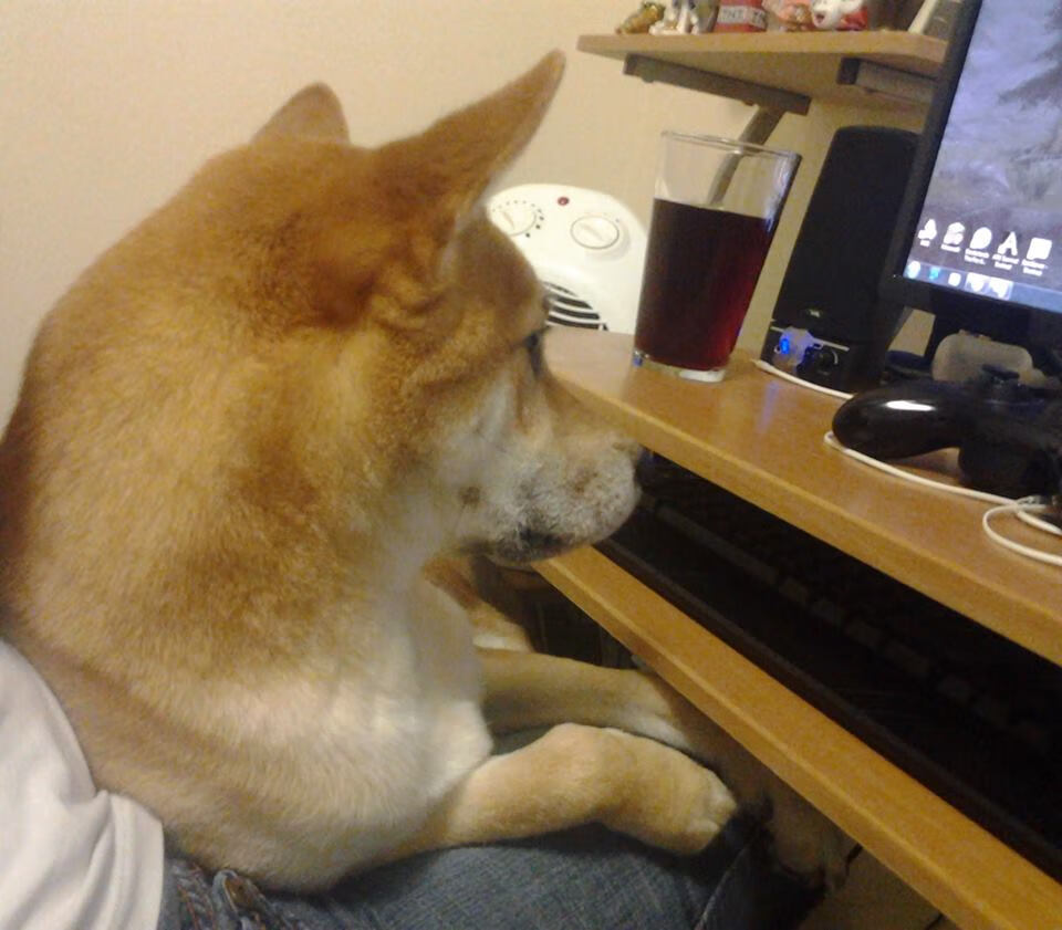 伊朗反曲弓男队在泛美锦标赛中夺冠，反曲弓竞技比赛