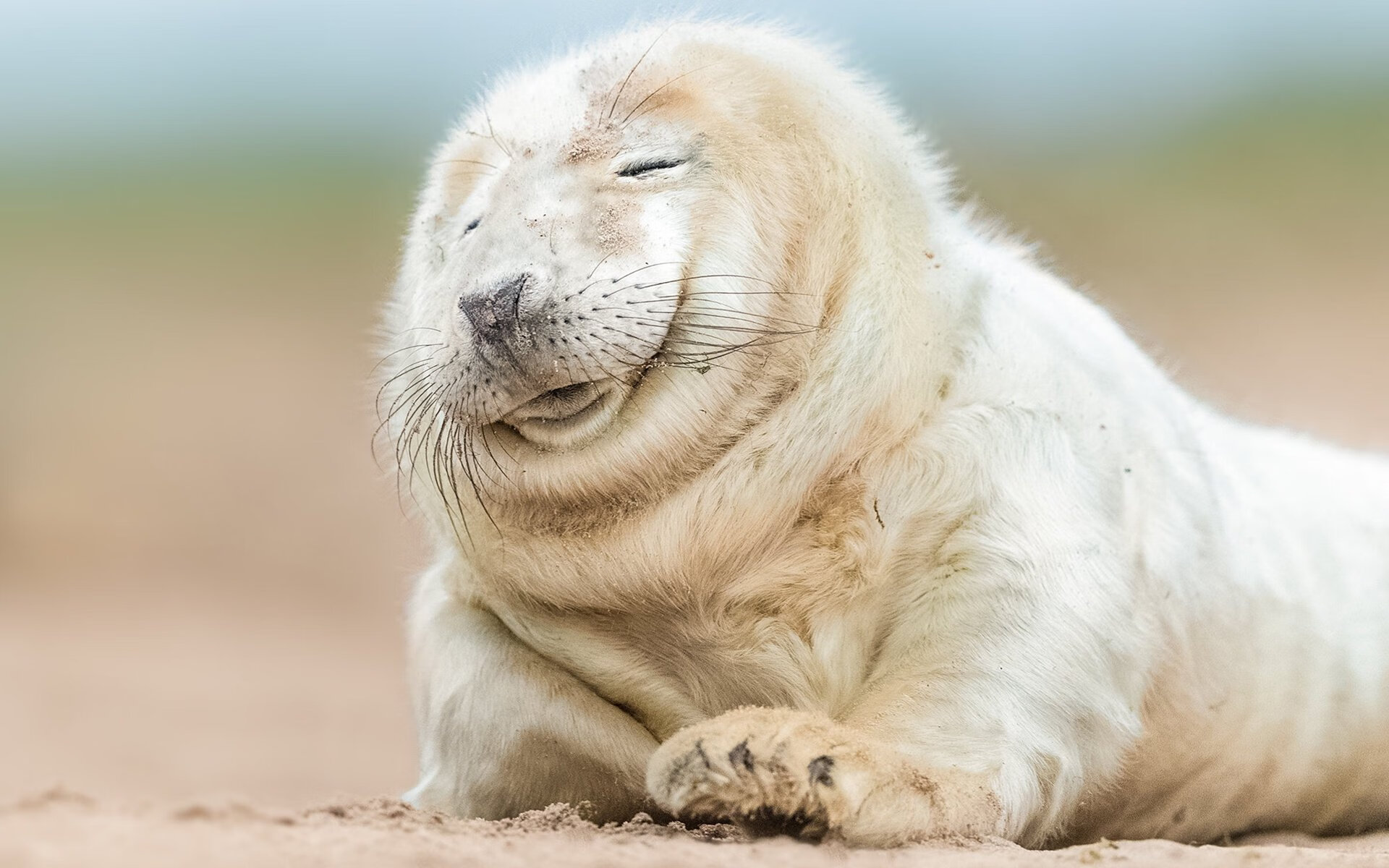 九游(jiuyou)官方网站-_退役运动员表演赛：缅怀历史，振奋精神_，退役军人运动员