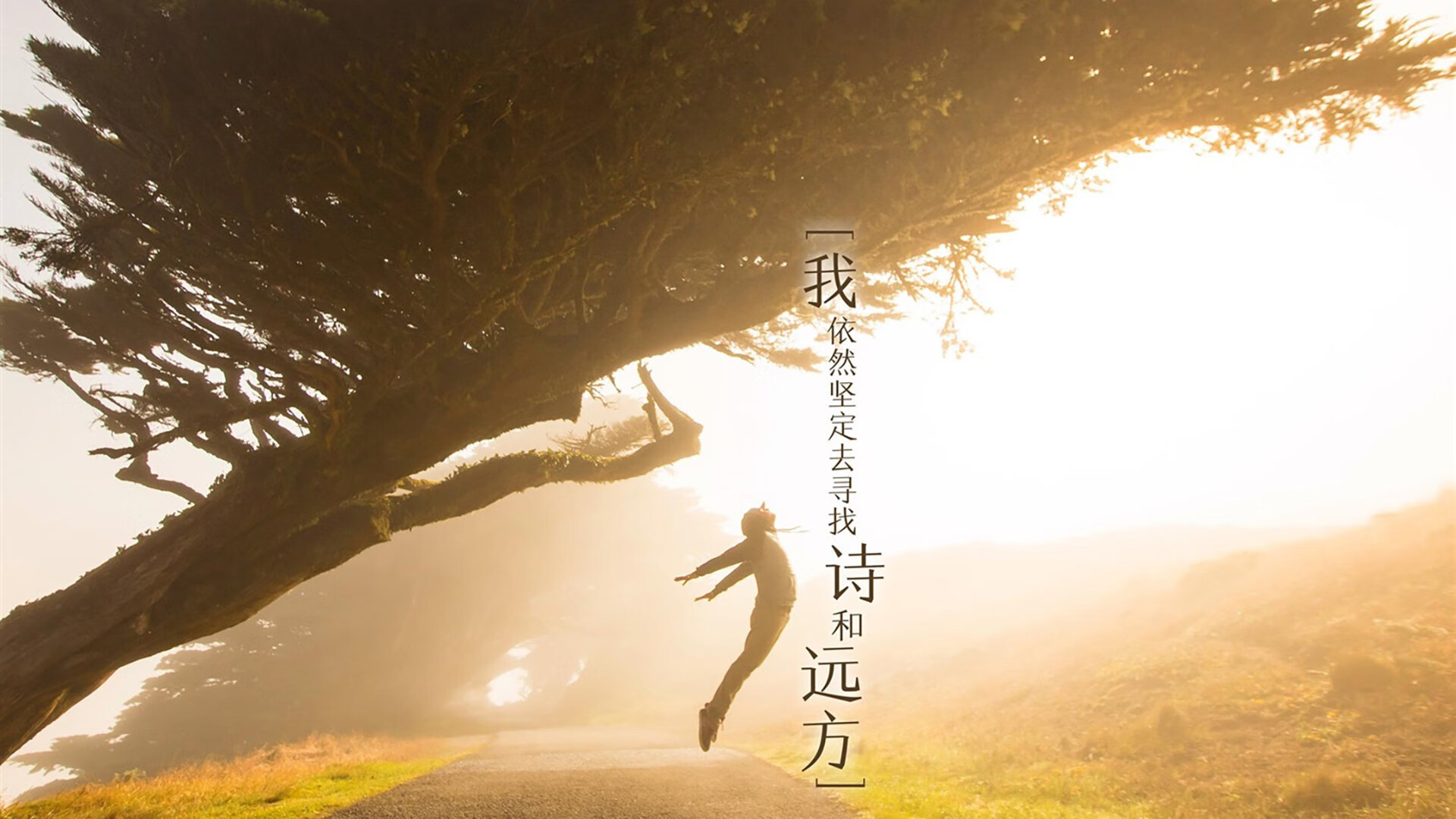 《绝地求生》选手的故事：从草根玩家到职业选手的奋斗，绝地求生 职业选手